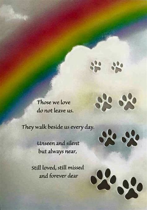 Short rainbow bridge quotes - Feb 24, 2022 · I lost my Terrier few hours ago. she was 11 with short cute legs. I can’t stop crying. This is the hardest moment in my life. I read all the quotes and cried and talked to my beloved dog. She was like my baby. She was in the good health. 2 weeks ago we saw blood in her urine. She drank lot of water and every 5 min she urinate.